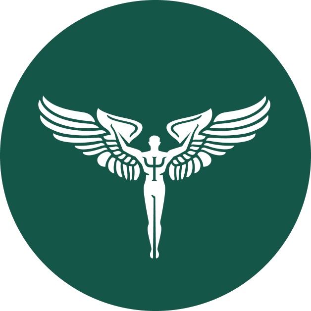 Логотип ВЕИП